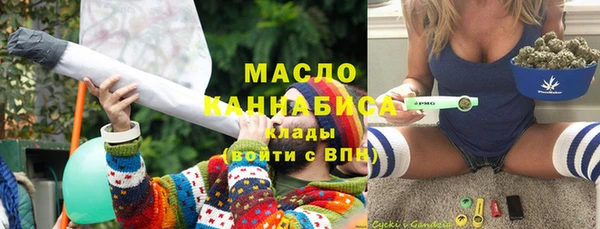 mdpv Заводоуковск