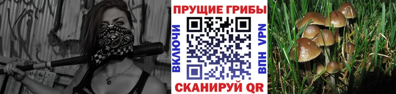 Галлюциногенные грибы ЛСД  купить наркотики сайты  Печоры 