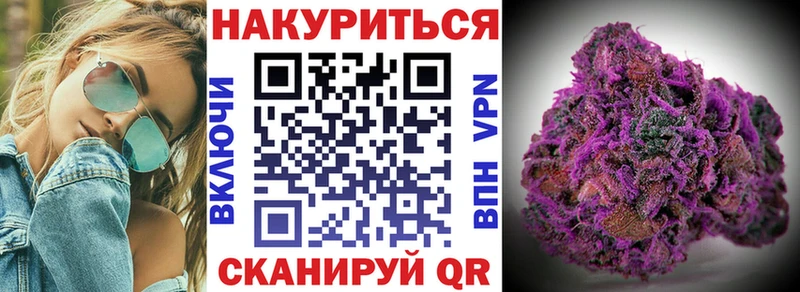 где купить наркотик  Печоры  Конопля сатива 